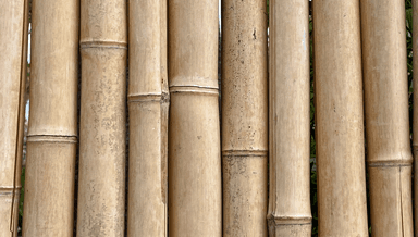 Image for RATTAN Thai Massage || Hot Bamboo Stick by Megan Johnston, CMMOTA - RMT #3259